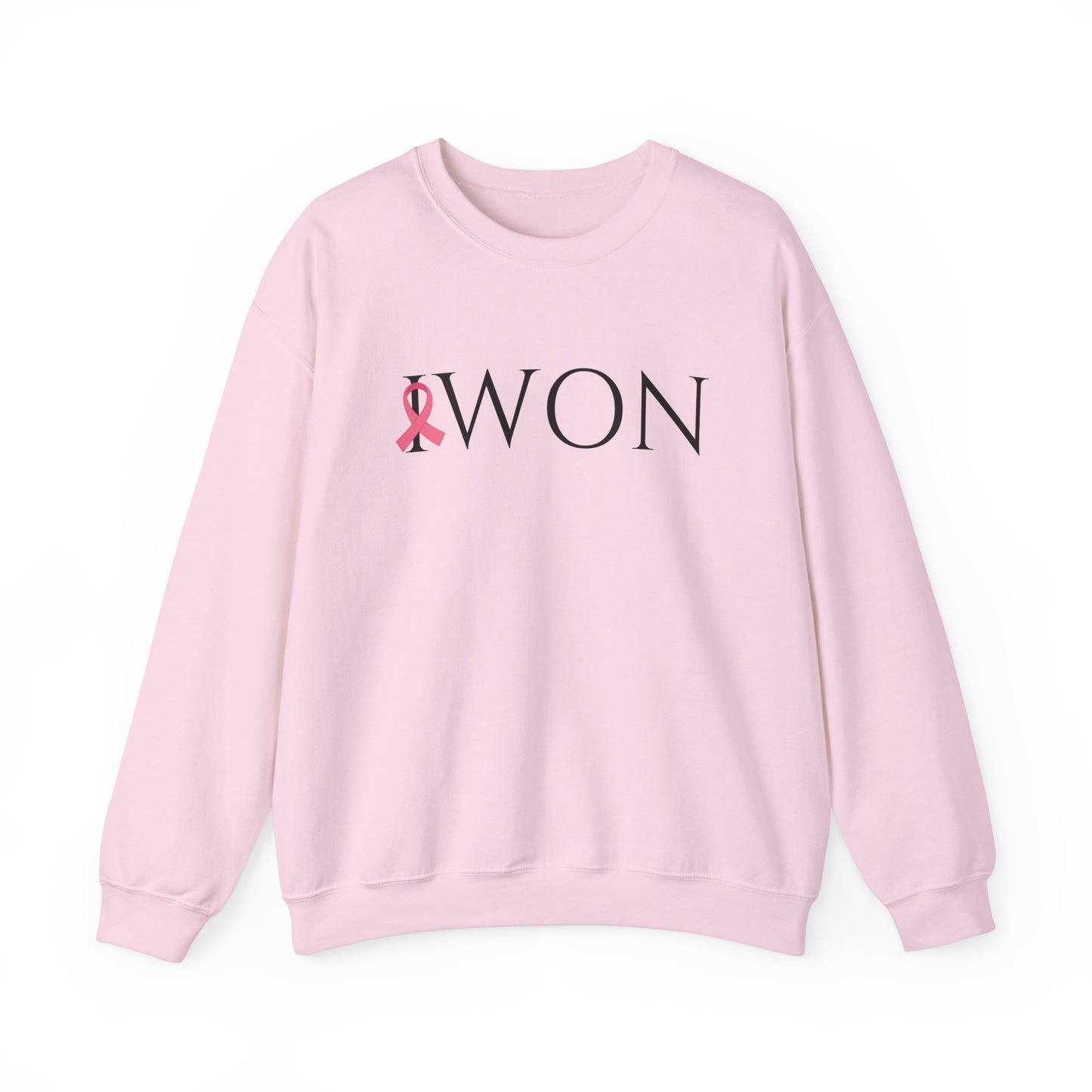 I Won Sweatshirt